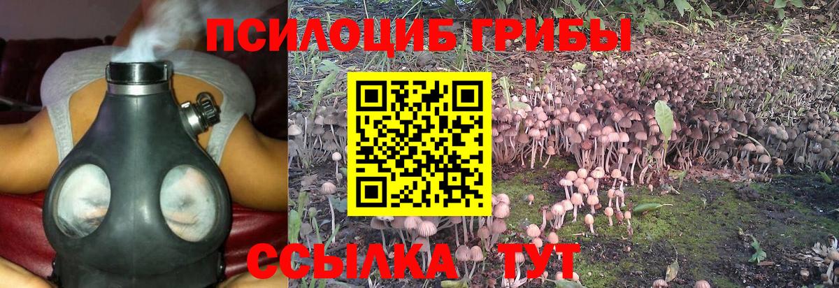 Галлюциногенные грибы MAGIC MUSHROOMS  Псилоцибиновые грибы GOLDEN TEACHER  Вход с VPN  Ноябрьск 